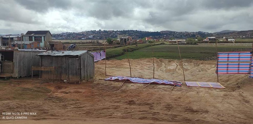 Formation et conseil